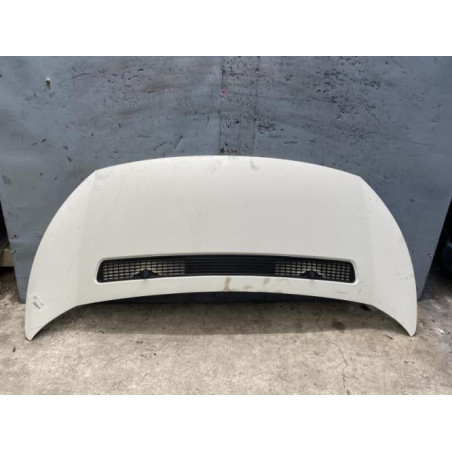 Capot PEUGEOT EXPERT 2 Photo n°1