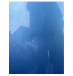 Capot RENAULT WIND Photo n°1