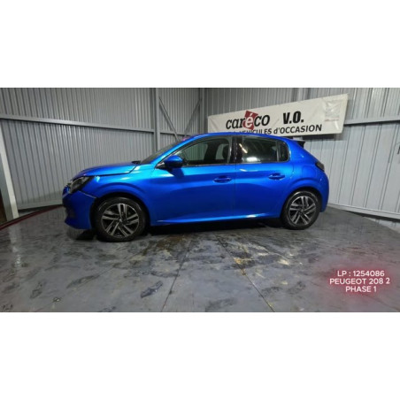 Mastervac PEUGEOT 208 2 Photo n°1