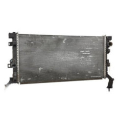 Radiateur eau RENAULT LAGUNA 3 Photo n°1