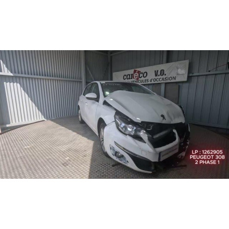 Mastervac PEUGEOT 308 2 Photo n°1