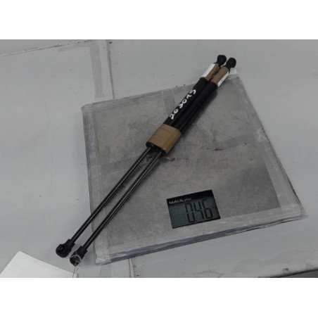 Verin de coffre DACIA SANDERO 2 Photo n°1