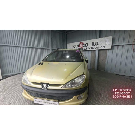 Mastervac PEUGEOT 206 Photo n°1
