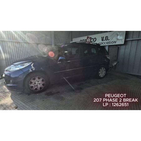 Capot PEUGEOT 207