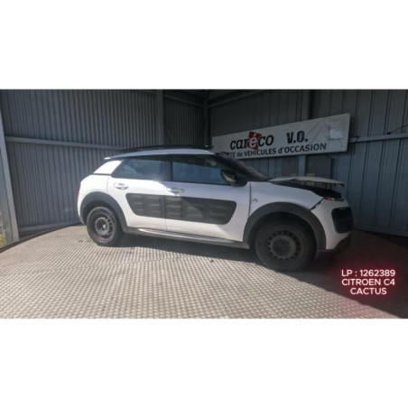 Mastervac CITROEN C4 CACTUS
