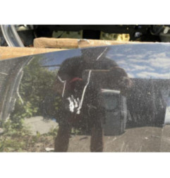 Capot RENAULT MEGANE 2 Photo n°6