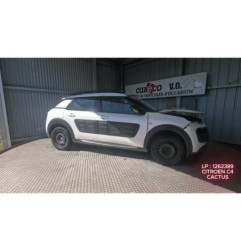 Mastervac CITROEN C4 CACTUS