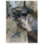 Moteur RENAULT TWINGO 3