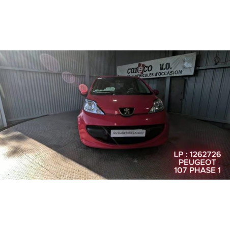 Mastervac PEUGEOT 107 Photo n°1