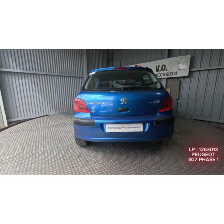 Mastervac PEUGEOT 307