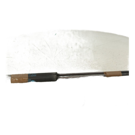 Verin de coffre CITROEN C4 1