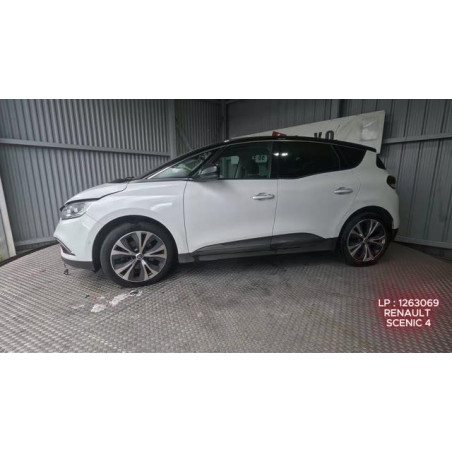 Custode arriere gauche RENAULT SCENIC 4