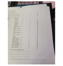 Compteur RENAULT SCENIC 2