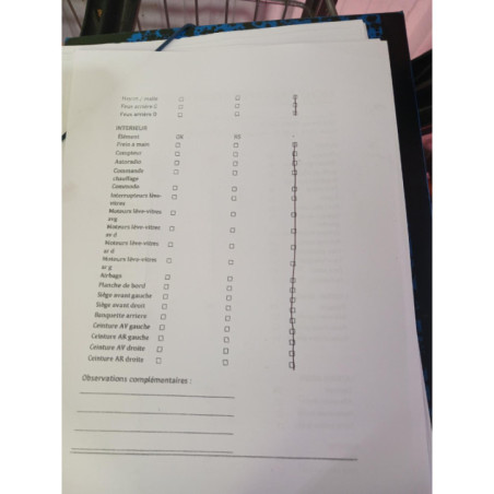 Mastervac RENAULT SCENIC 2