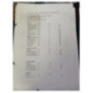 Mastervac RENAULT SCENIC 2