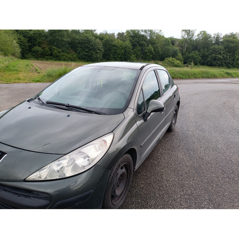 Mastervac PEUGEOT 207