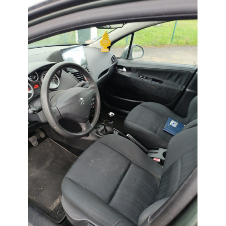 Mastervac PEUGEOT 207