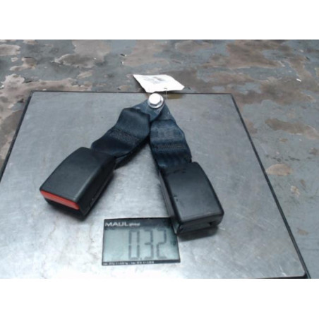 Attache ceinture arriere gauche DACIA SANDERO 2 Photo n°1