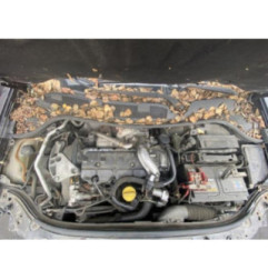 Vitre arriere droit RENAULT MEGANE 2 Photo n°9