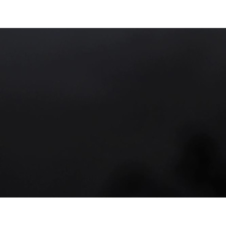 Attache ceinture arriere droit FORD FIESTA 6 Photo n°1