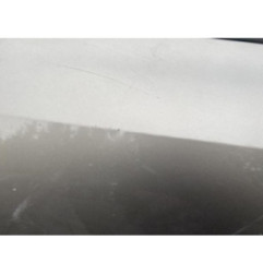 Porte arriere gauche RENAULT CLIO 3 Photo n°1