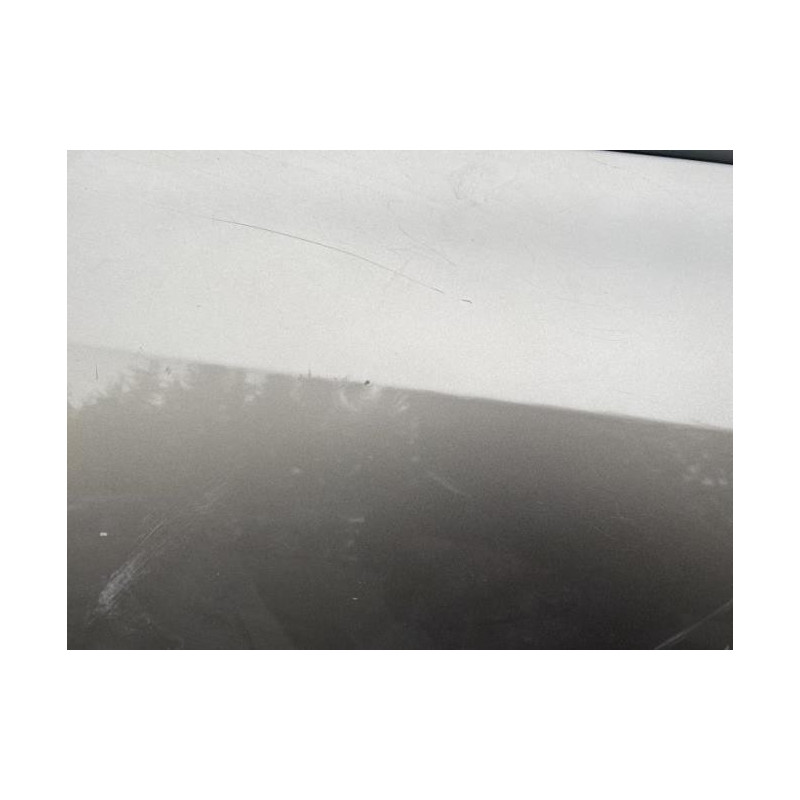 Porte arriere gauche RENAULT CLIO 3