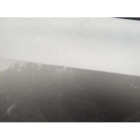 Porte arriere gauche RENAULT CLIO 3 Photo n°1