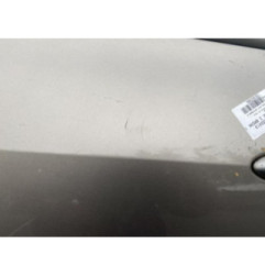 Porte arriere gauche RENAULT CLIO 3