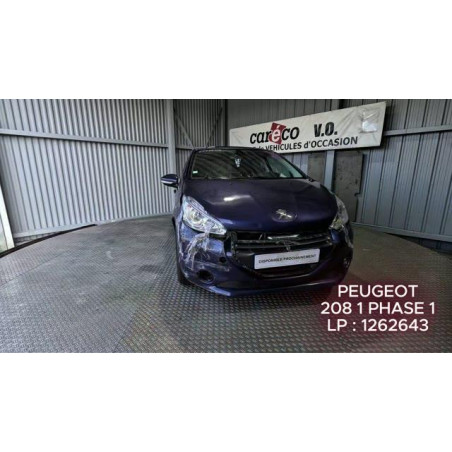 Mastervac PEUGEOT 208 1 Photo n°1