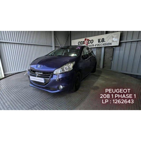 Mastervac PEUGEOT 208 1