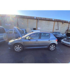 Capot PEUGEOT 307 Photo n°5