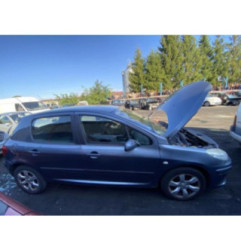 Capot PEUGEOT 307 Photo n°9