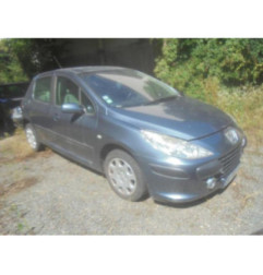 Capot PEUGEOT 307 Photo n°6