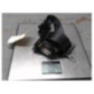 Ceinture arriere gauche OPEL ASTRA J