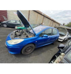 Capot PEUGEOT 307 Photo n°4