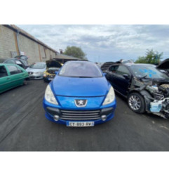 Capot PEUGEOT 307 Photo n°11