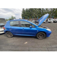 Capot PEUGEOT 307 Photo n°13