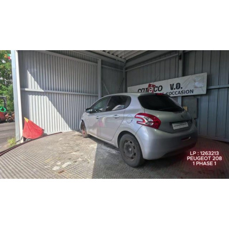 Mastervac PEUGEOT 208 1