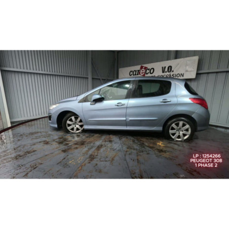 Mastervac PEUGEOT 308 1