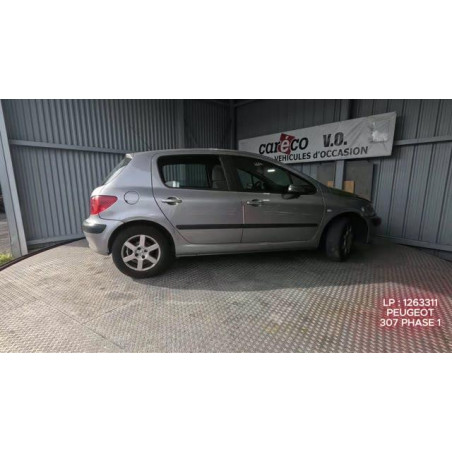 Mastervac PEUGEOT 307