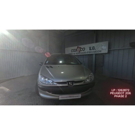 Mastervac PEUGEOT 206 Photo n°1