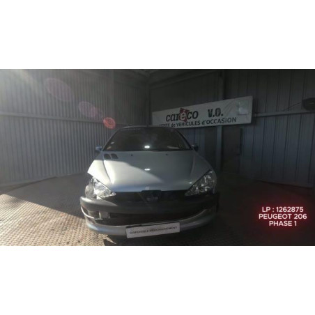 Mastervac PEUGEOT 206 Photo n°1