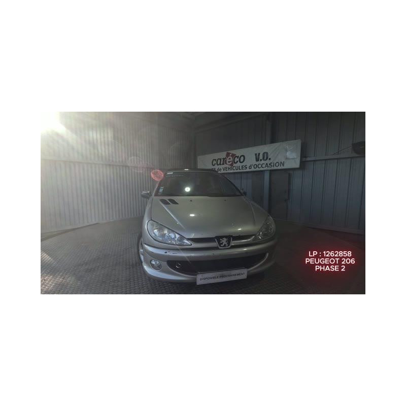 Capot PEUGEOT 206