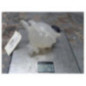 Vase d'expansion CITROEN C3 3