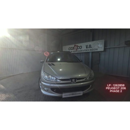 Mastervac PEUGEOT 206 Photo n°1