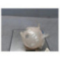 Vase d'expansion VOLKSWAGEN PASSAT 5