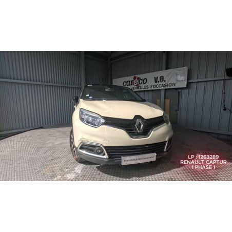 Garniture de pavillon RENAULT CAPTUR 1 Photo n°1