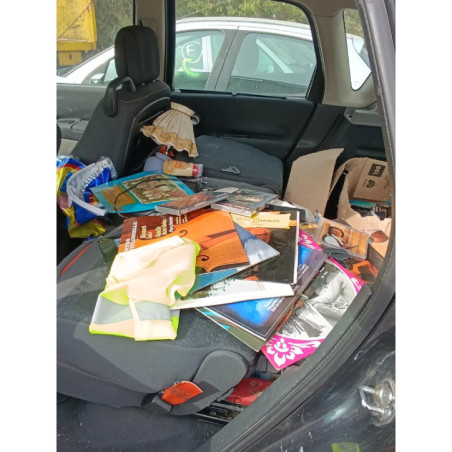 Mastervac RENAULT SCENIC 2