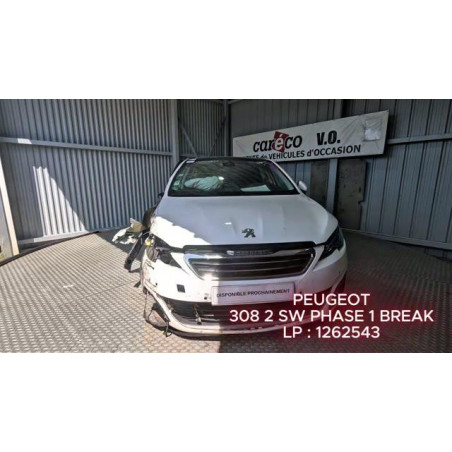 Mastervac PEUGEOT 308 2 SW Photo n°1