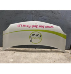 Capot RENAULT KANGOO 2 Photo n°4